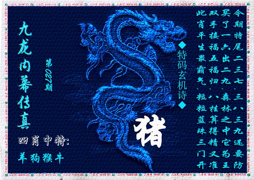 027期九龙内幕传真(新上市)[图]