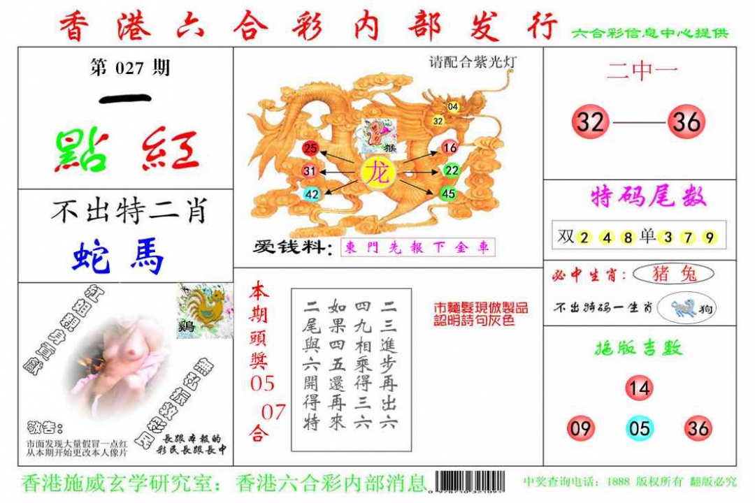 027期一点红[图]