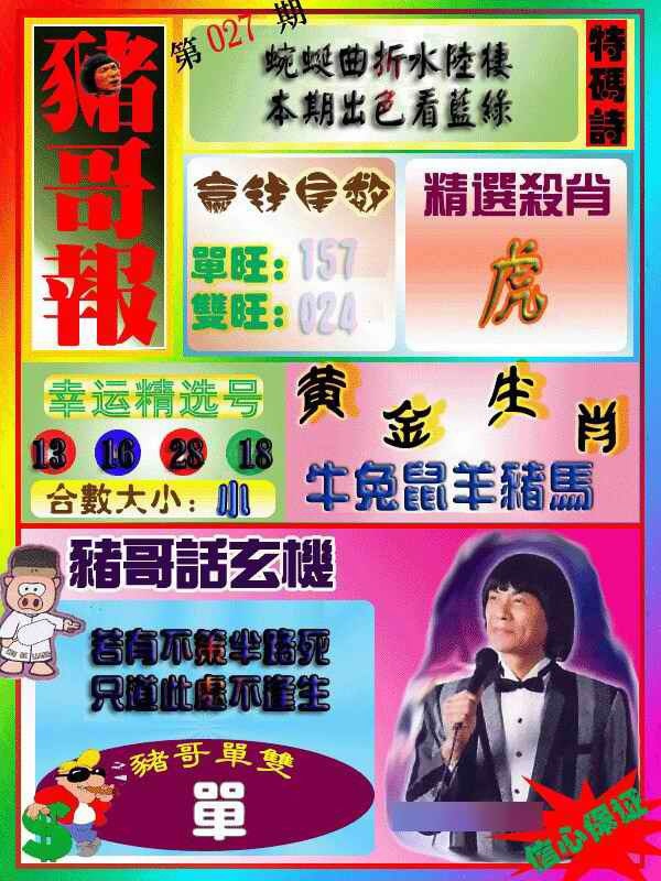 027期猪哥报[图]