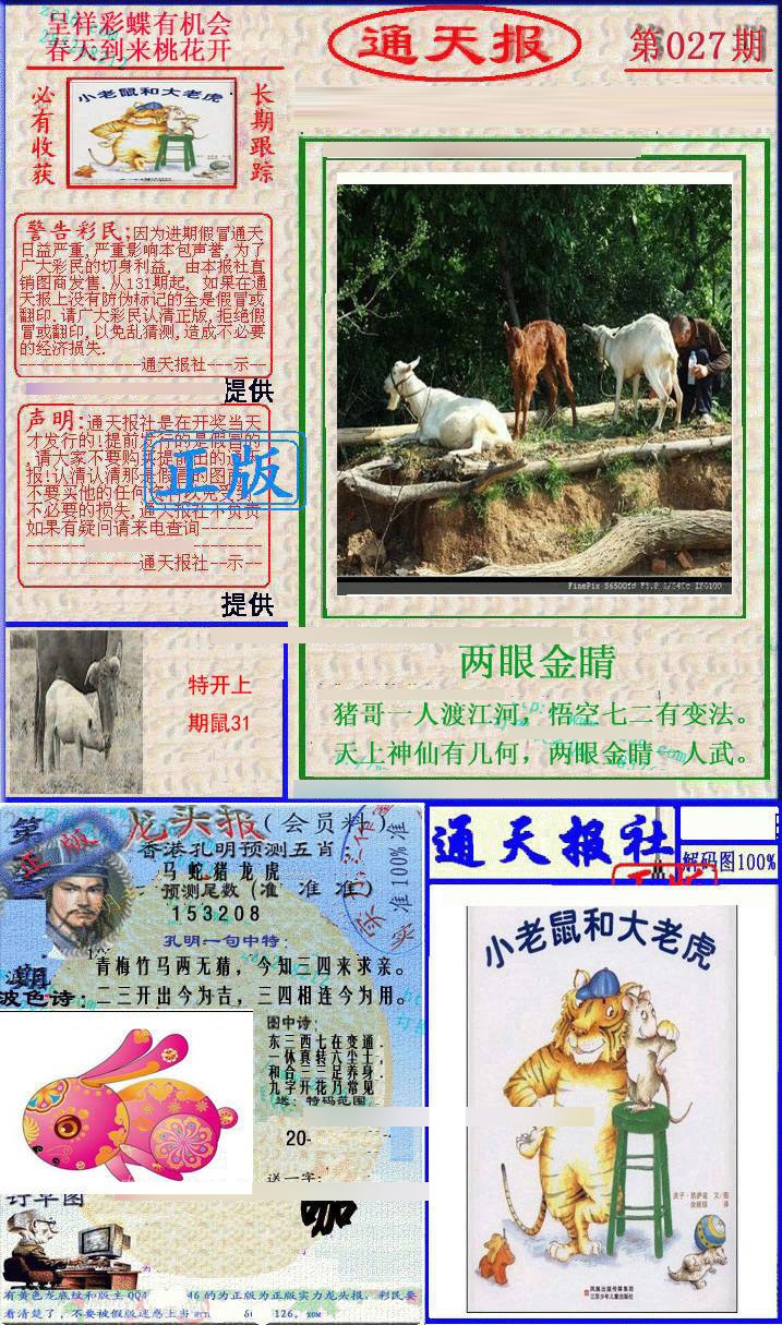027期实力通天报[图]