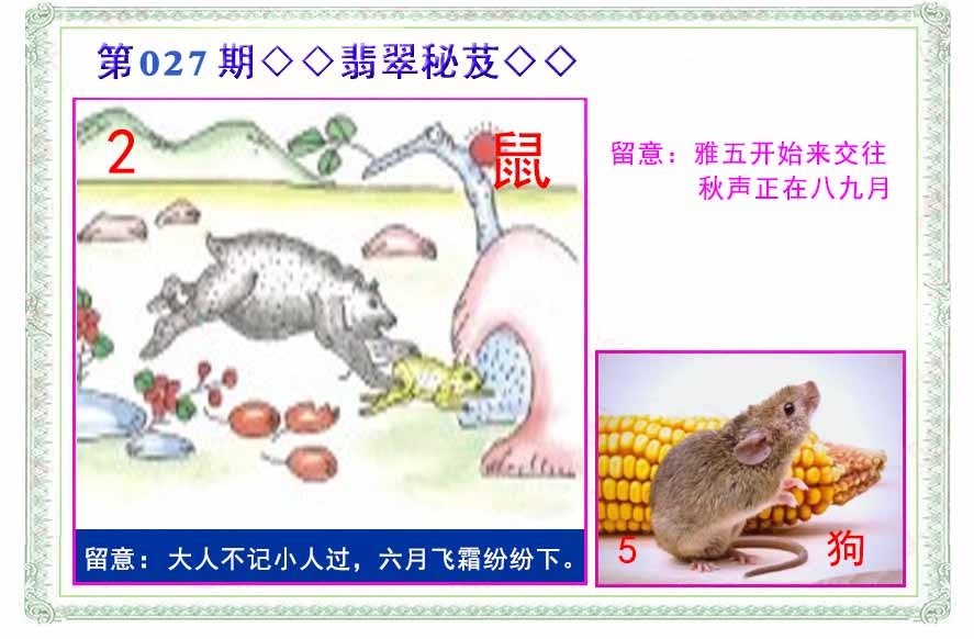 027期翡翠报[图]