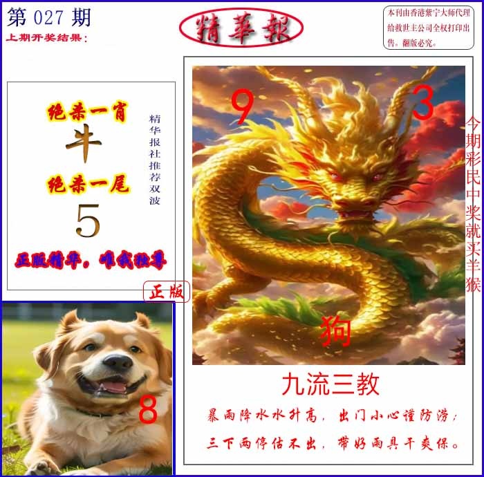 027期新精华报报[图]