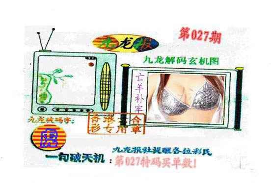 027期九龙报[图]