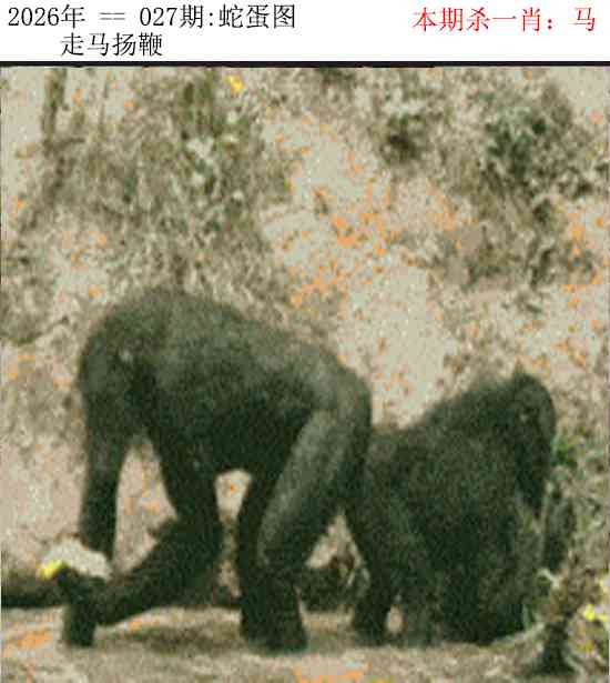 027期正版蛇蛋图[图]