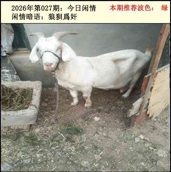 027期今日闲情2[图]