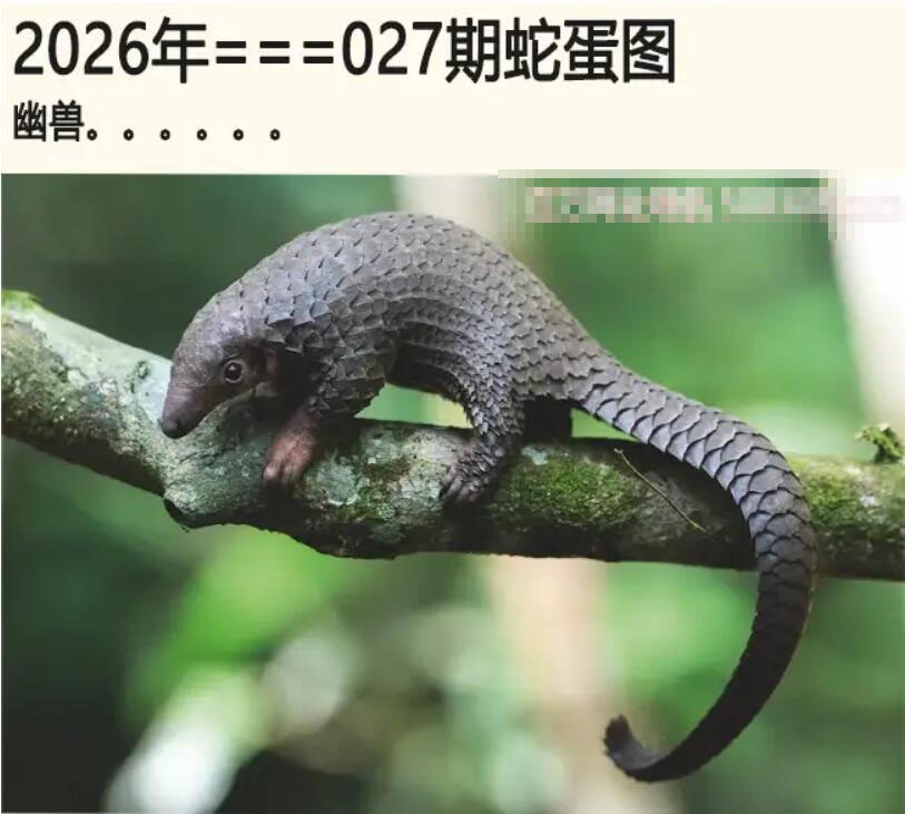 027期另版蛇蛋图[图]